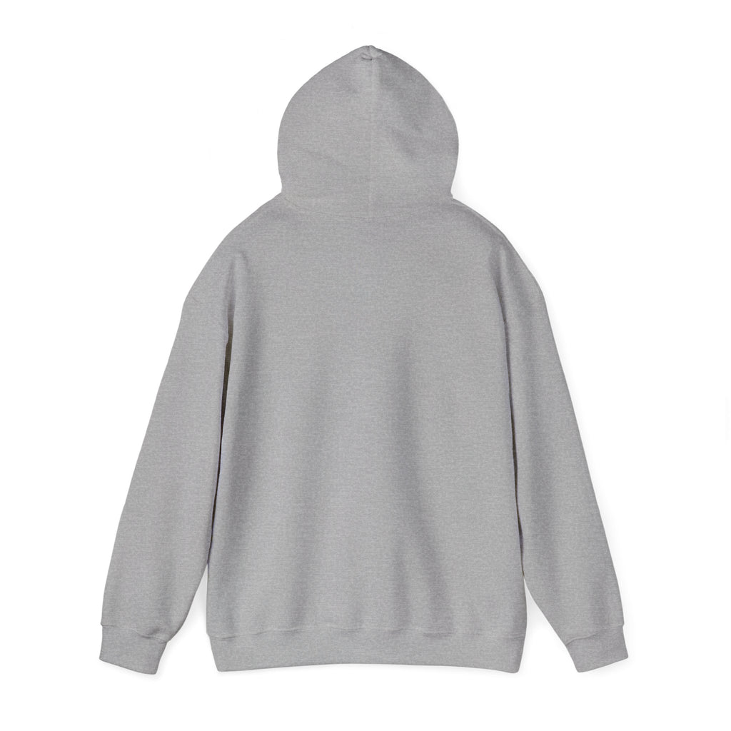 Funny 'I Whisper WTF to Myself Like 20 Times Every Day' Hoodie